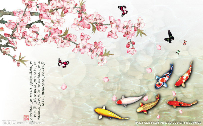 G九鱼九鱼
