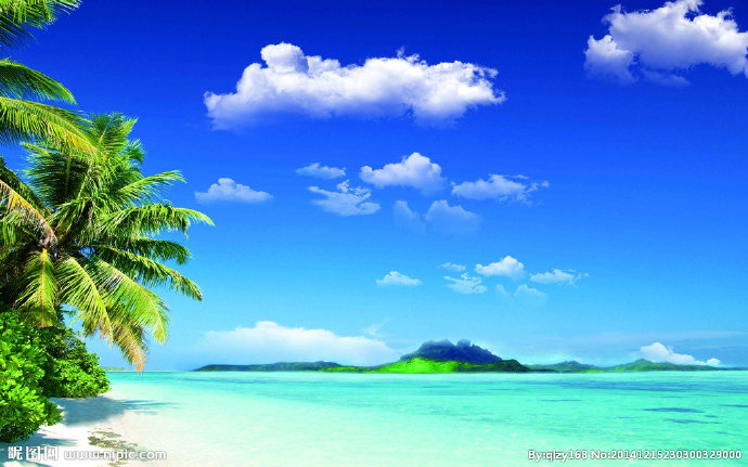 G海边椰树背景墙