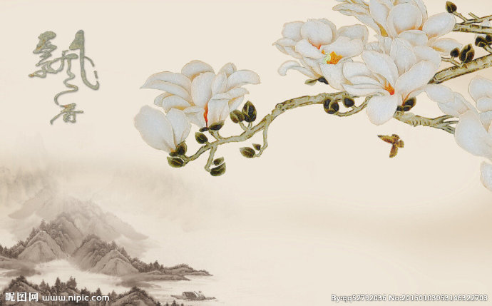 G飘香玉兰花中国