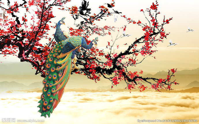G家和富贵玉兰花