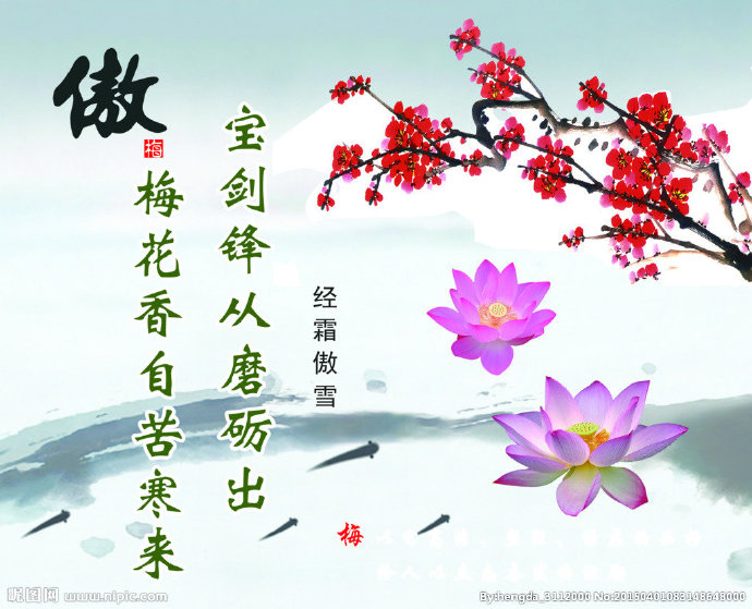 G傲梅背景墙傲梅