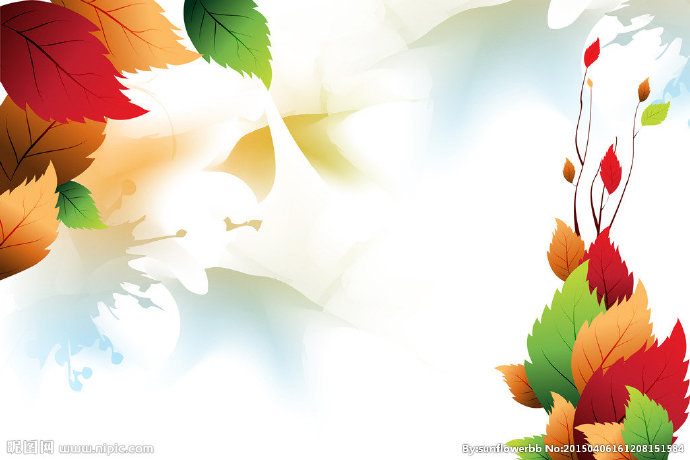 G文艺树叶室内背