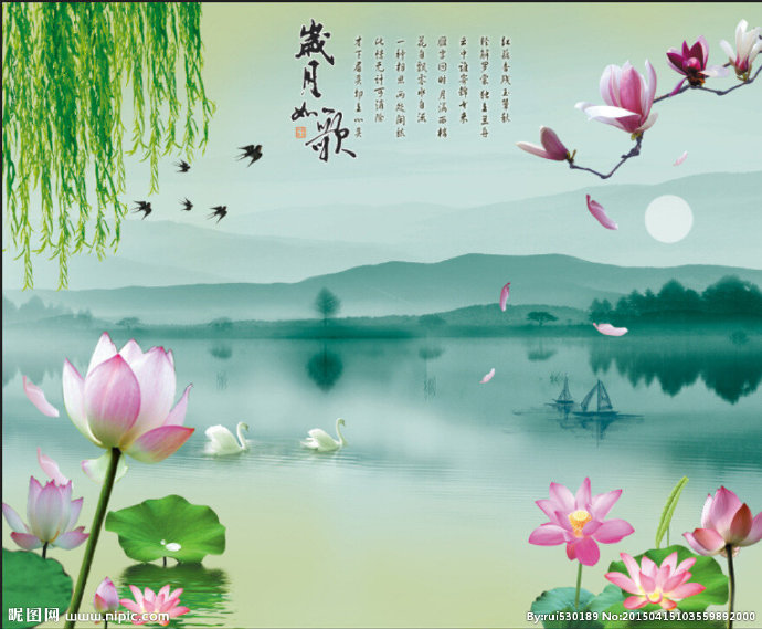 G江南水乡荷花柳