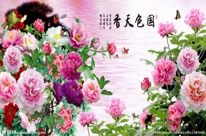 G牡丹国色天香图