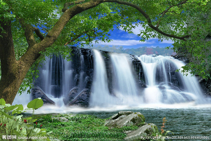 G大树瀑布图背景