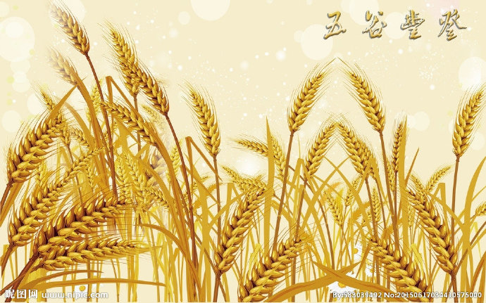 G黄金稻穗餐饮饭