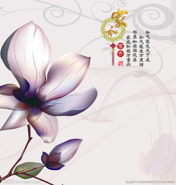 G家和富贵玉兰花