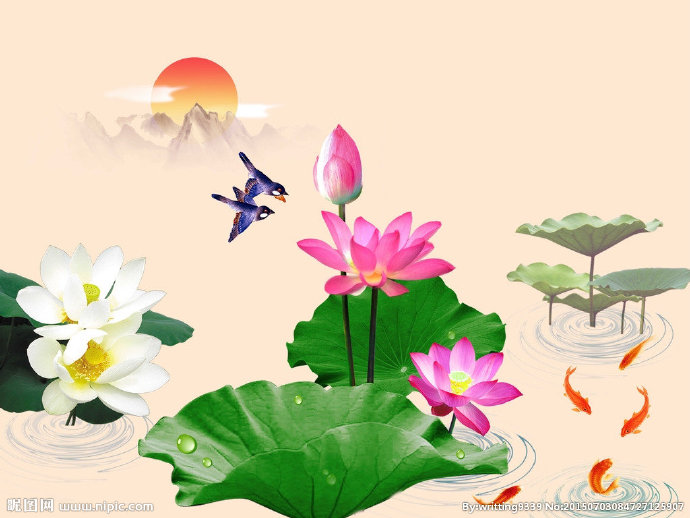 G荷花背景墙背景