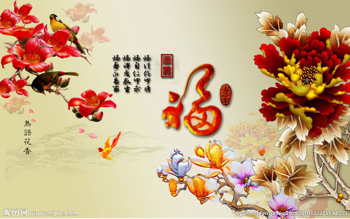 G牡丹玉兰电视背