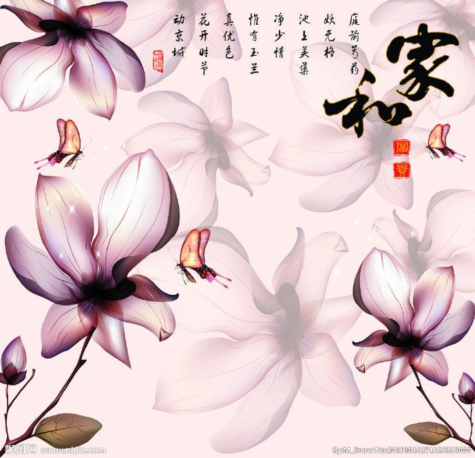 G家和富贵玉兰花