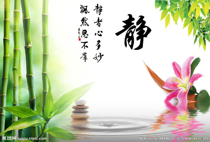 G静 竹子  风