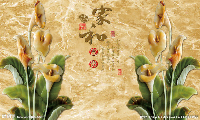 G家和富贵马蹄莲