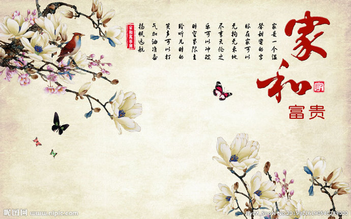 G家和富贵玉兰花