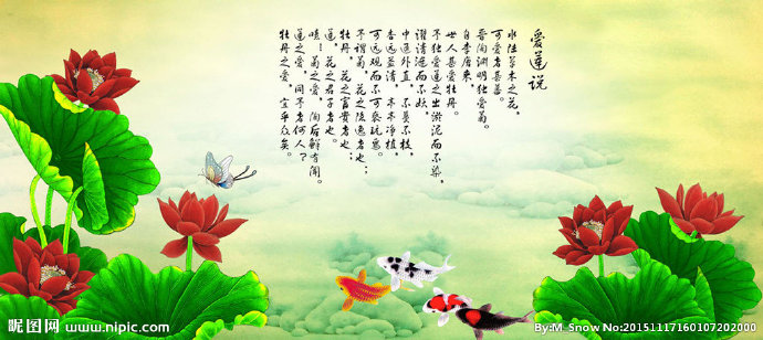 G爱莲说红色荷花