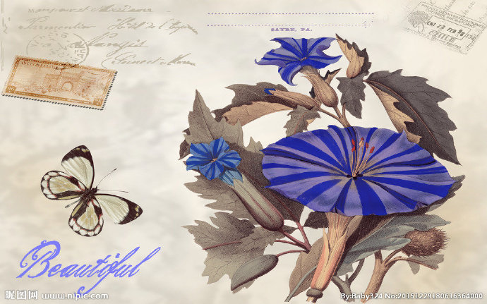 G欧式花蝴蝶背景