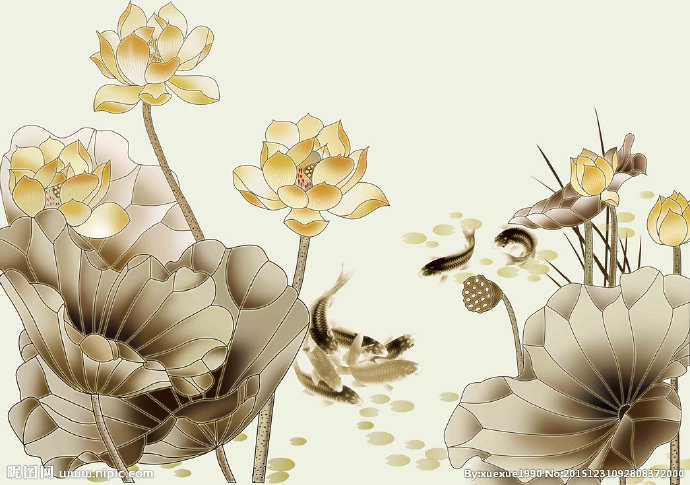 G莲花鲤鱼荷花莲