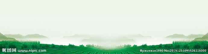 G茶山愿景背景图