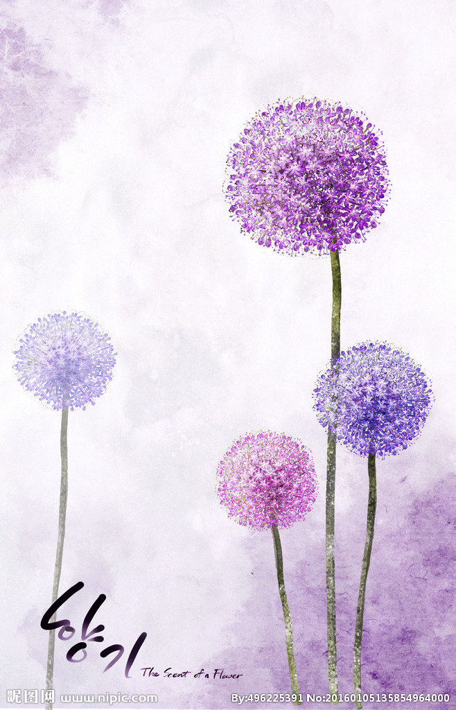 G蒲公英花朵素材