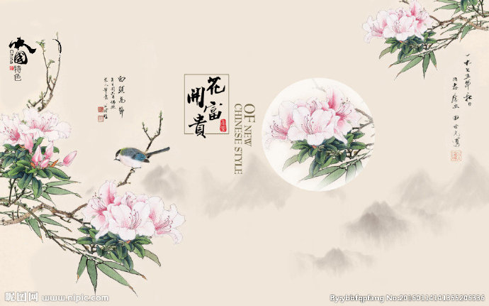 G花开富贵电视背