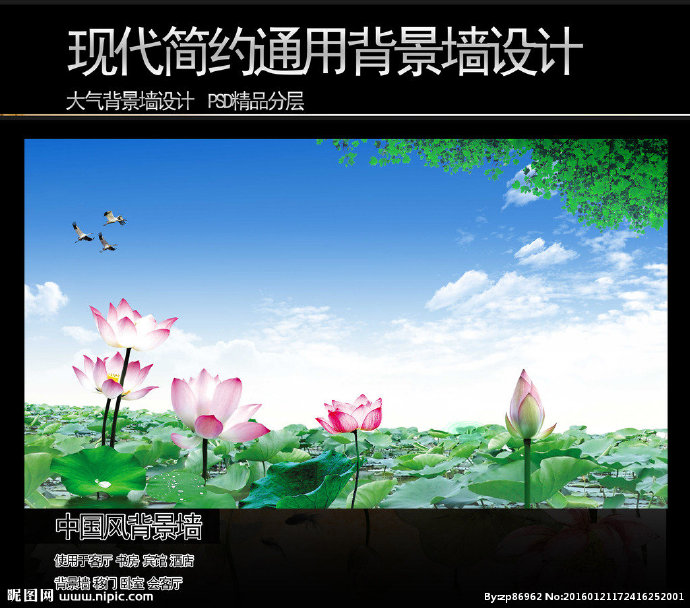 G水塘荷花现代简