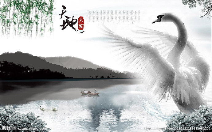 G水墨画白天鹅背