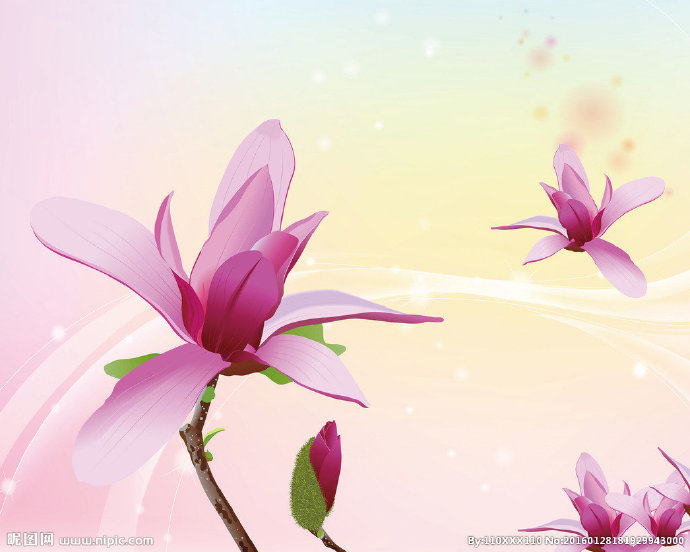 G高清莲花电视沙