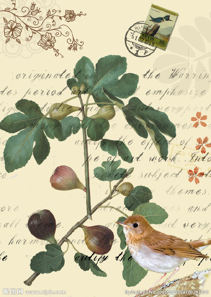 G古典欧式花卉装