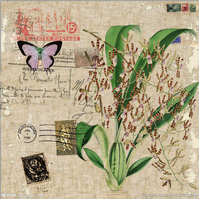 G怀旧系列花卉装