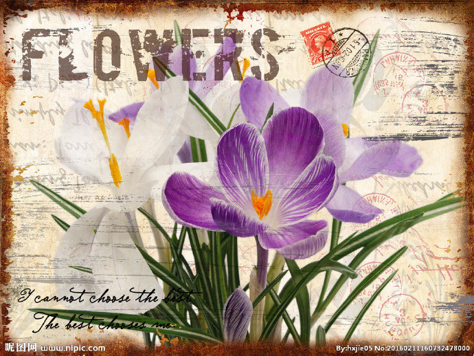 G欧式古典装饰画