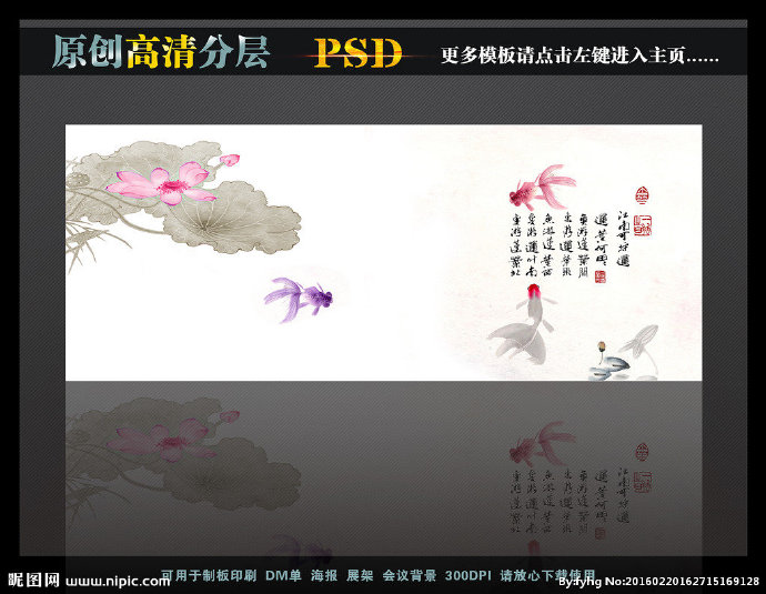 G荷花金鱼莲花荷