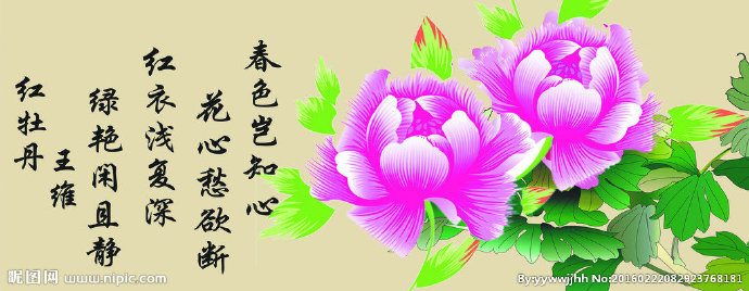 G牡丹背景墙背景