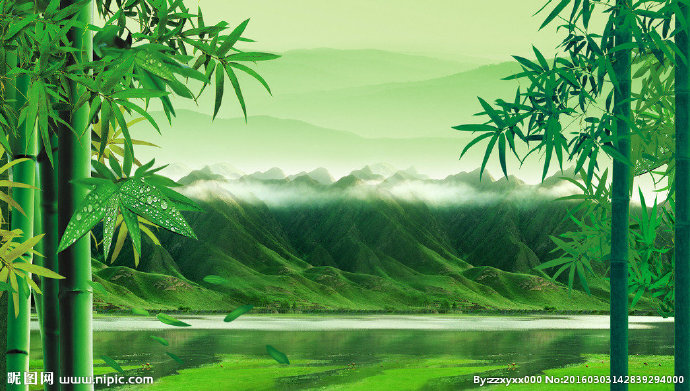 G竹子背景墙竹子