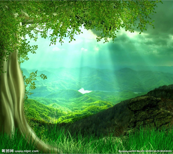 G阳光大树背景墙