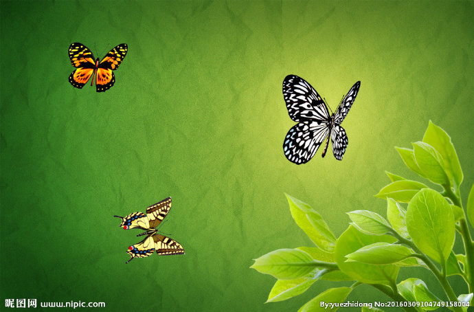 G树叶背景墙树叶