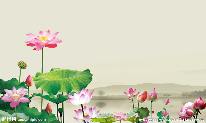 G荷花背景墙莲花
