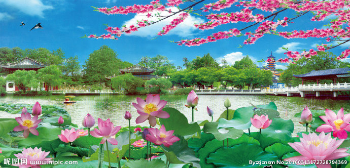 G荷花背景墙背景