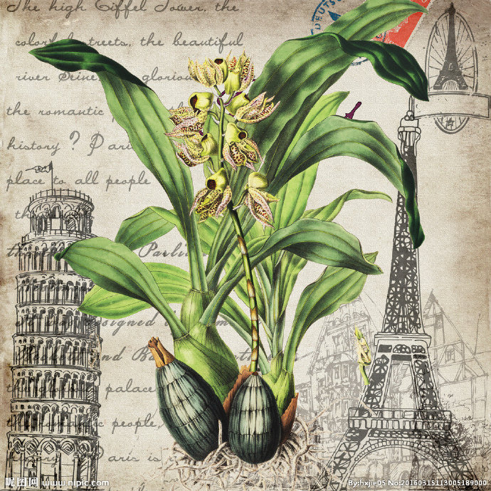 G欧式花卉装饰画