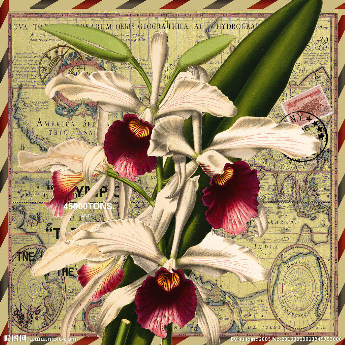 G复古风花卉装饰