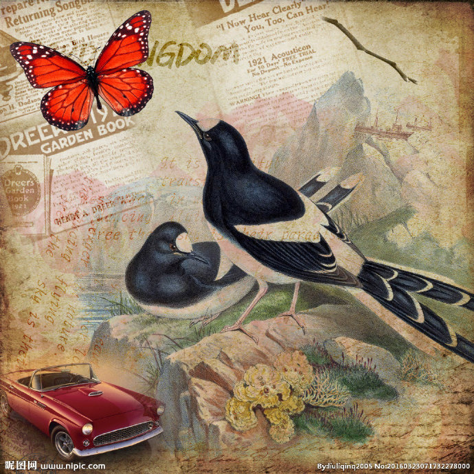 G古典花鸟装饰画