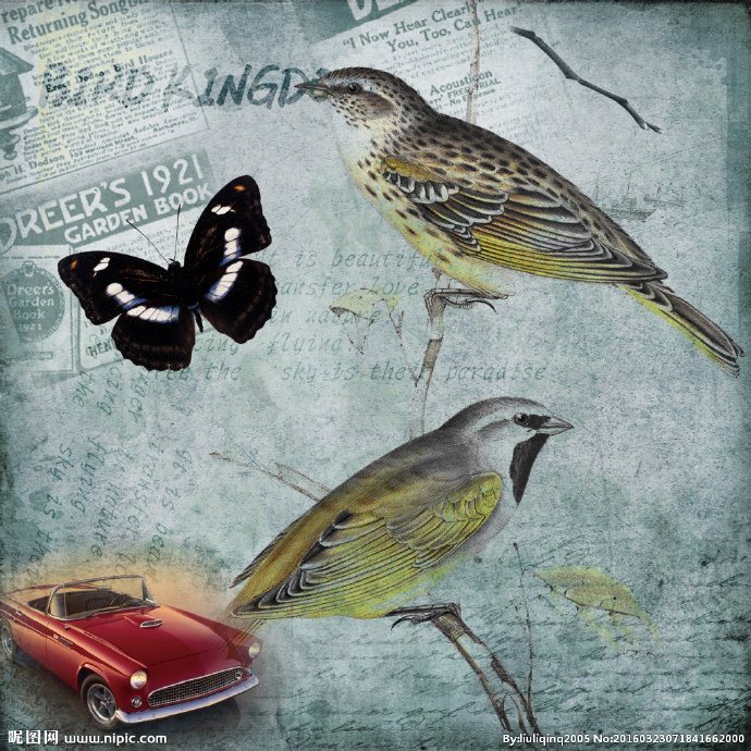 G古典花鸟装饰画