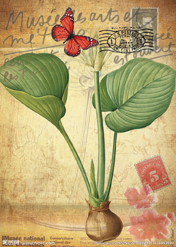 G手绘花卉装饰画