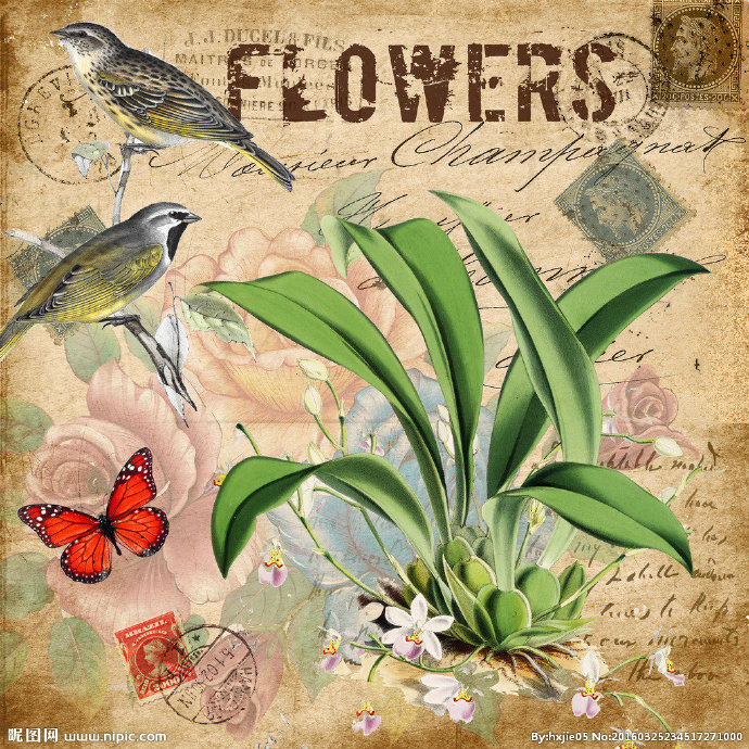 G古典花鸟装饰画