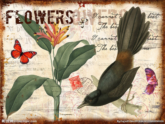 G欧式花鸟图案背