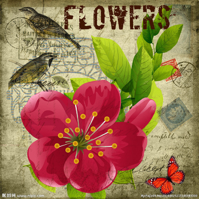 G花鸟装饰画背景