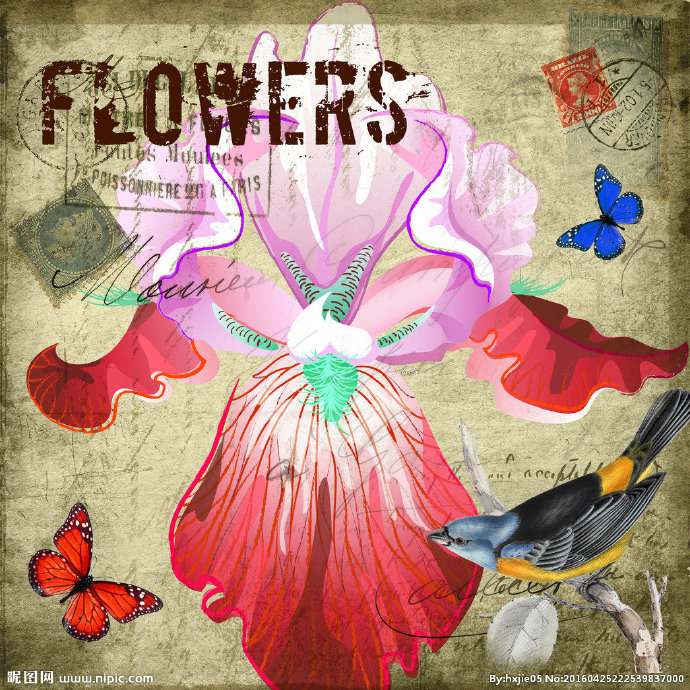 G花鸟装饰画背景