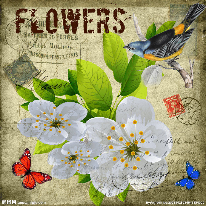 G花鸟装饰画背景