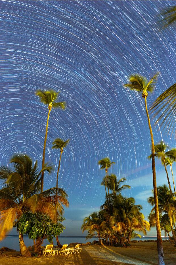 自然风景海边椰子