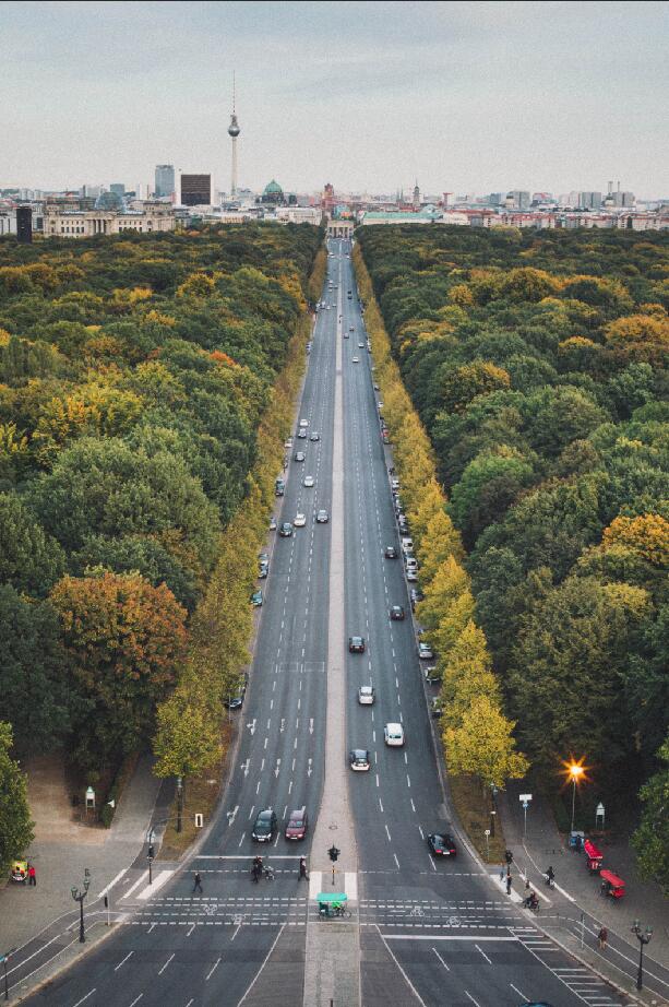 自然风景街道树林