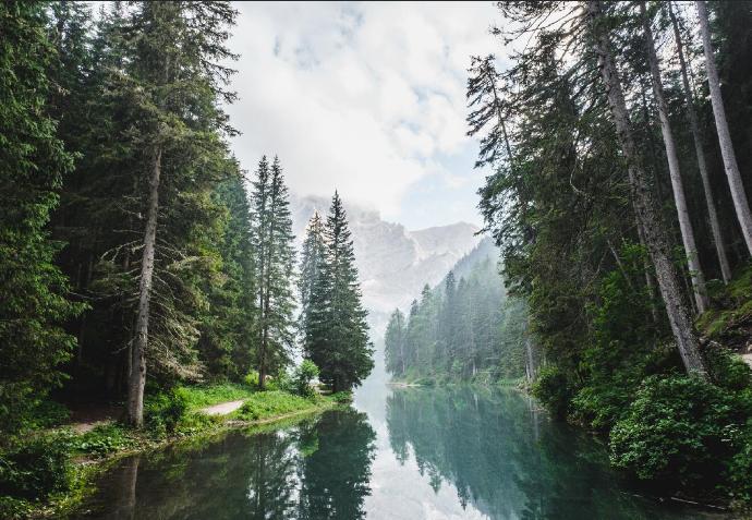 自然风景群山树林