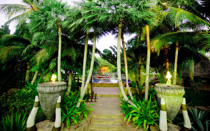 椰树马尔代夫风景